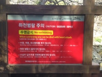 나홀로 14일 제주 여행 - Day 3