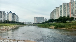 감정을 실어 걸어본, 전주 삼천천