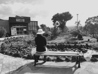 추억을 함께 걸어보았습니다