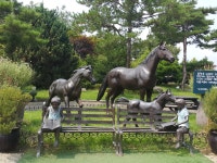 한여름의 들꽃수목원