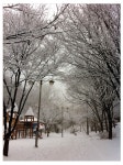 보잘것 없는 시절에도 언젠간 눈부신 날이 찾아온다 보잘것 없는 시절에도  언젠간 눈부신 날이 찾아온다