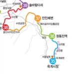 [해파랑길] 눈부신 강릉 바다, 하늘, 산