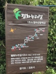 [평화누리길] 철책, 강, 우여곡절 고생길
