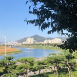 가을은 역시 산책