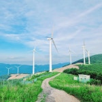 바람이 분다, 당신이 좋다 바람의 언덕