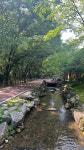 01화 천년의 시간이 숨쉬는, 함양 상림공원