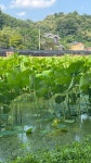 01화 천년의 시간이 숨쉬는, 함양 상림공원