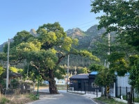 영암에서 잠시 살아보기... 어떨까? 영암에서 잠시 살아보기... 어떨까? 
