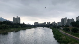 08화 FW #9, 구리(25.03km)