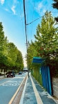 03화 #.1 강남구 신사동