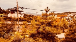 04화 #2. 종로구 동숭동