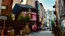 03화 #.1 강남구 신사동