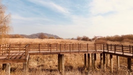 20화 FW #33, 행주대교(37.76km)