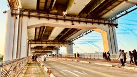 03화 #.1 강남구 신사동