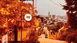 04화 #2. 종로구 동숭동