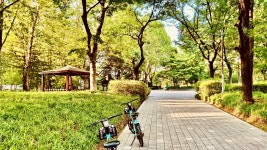 03화 #.1 강남구 신사동