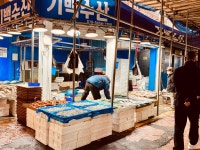 15화 #12, 금천구 독산동