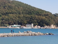 [브런치북] 대학 대신 시골살이