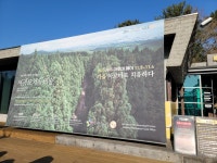 영혼을 치유하는 숲, 제주 소울 플레이스 NO.1