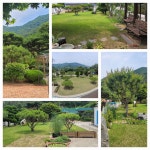 6월의 정원 순례(2)