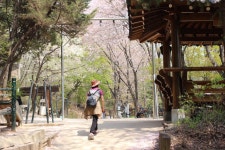 안산 자락길, 연희동에서 충정로까지