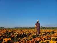 [브런치북] 소언감성