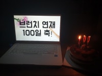 브런치 100일 연재, 슬기로운 백수 생활 100일