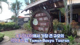 18화 코타키나발루, 자연 속으로_악어농장, 반딧불 투어