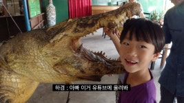 18화 코타키나발루, 자연 속으로_악어농장, 반딧불 투어