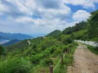 26.서면-영도-태종대-송도-감천문화마을-다대포-백양산