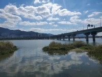 35. 부산자전거여행코스, 낙동강생태공원 투어