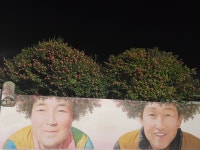 섬에는 주유소가 있다? 없다?