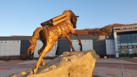 수소전기차와 함께 하는 골라 담는 DMZ접경지역 여행