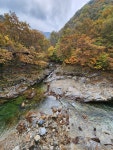 15화 DMZ 두타연길