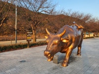 취업, 새로운 콘텐츠도, 새로운 프로그램도 없다!