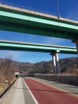 4일차 : 밀양에서 청도까지