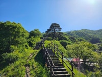 천년송에서 소원 빌고 먹방도 했어요