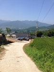 지리산둘레길에 미치다(3)