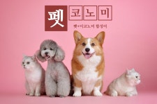 02. 일코노미와 펫코노미