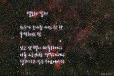[일상 관찰] 사진과 글로 순간을 담다
