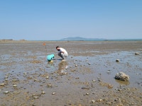#2 아이에게 갯벌을 선물한 캠핑
