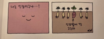 신안교 삼거리 교통섬의 남자