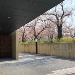 경주솔거미술관 - 소산小山 박대성 상설전시