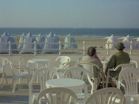 43. 여름 이야기 (1996)