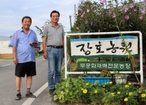 03화 국내 최대 무궁화밭, 논산 장호농원