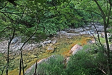 06화 구룡사
