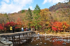04화 오대산 선재길