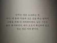 완벽했던 서울 시청 앞 데이트