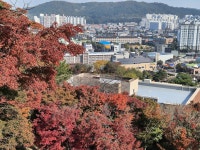 정읍 여행길