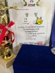 아들의 첫 복싱대회